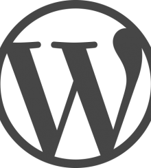 Gebruik van WordPress CMS neemt toe!